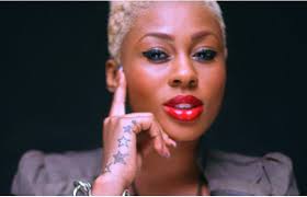 I made the videos but I didn't leak them