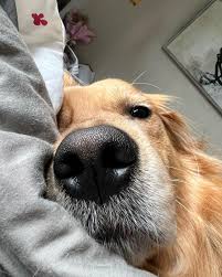 Cooper Chung (@cooper20191104) • Instagram photos and videos