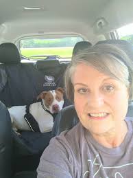 hi! are there any shelters that you can volunteer is for the day to walk  dogs in the area? thanks :)