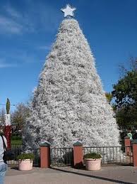 Marana christmas tree farm, marana, arizona. One Huge Tumbleweed Christmas Tree Chandler Arizona Christmas Tree Farm World