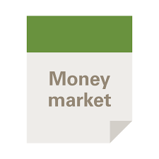 You could lose money by investing in the fund. Money Market Funds Vanguard