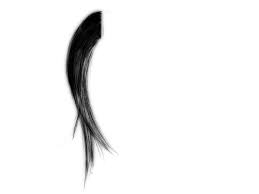 Play around with the brush settings to create amazing results. Hair Brush In Photoshop 123freebrushes