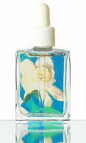 Gardenia Hawaiian Flower Essence Flower Essences Flower Drawing Gardenia Plant
