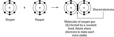 We did not find results for: Environmental Science What Is Covalent Bonding Dummies