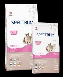 Spectrum Mama