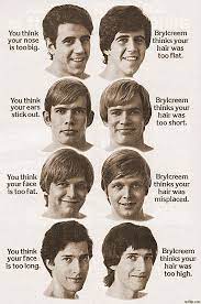 My man has fine, wavy and curly hair. The Hair Hall Of Fame Brylcreem Mens Hairstyles Old Ads