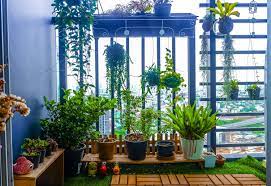 How to grow balcony garden. Stuck In The Shadows Tips For A Terrace Garden Or Balcony Sans Sunlight Daily Sabah