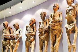 This is las momias de guanajuato ing by ciudad museo guanajuato on vimeo, the home for high quality videos and the people who love them. Denunciaron La Misteriosa Desaparicion De 22 Momias En Guanajuato Infobae
