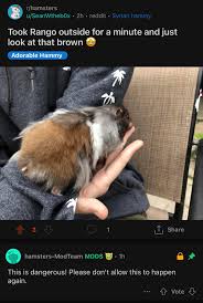 Just unsubbed from rhamsters. Apparently its SO dangerous to take my  hamster outside for a single minute in order to take a picture of his fur.  : rJustUnsubbed