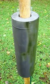 Bird Feeder Pole For Deck Lowes Bird Feeder Baffles And Bird House Pole Predator Guards Deter Squirrels Raccoons Snakes From Climbing Raiding Feeding Nesting Sites In 2020 Squirrel Proof Bird Feeders Bird Feeder Baffle Bird Feeder Poles