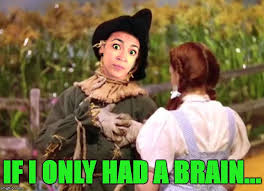 G f#m7 oh i could tell you why b7 em7 a7 d the ocean's near the shore. Politics If I Only Had A Brain Memes Gifs Imgflip