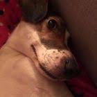 Interieur Entierement En Bois Chaleureuse Decoration Bois Chambre Chalet Deco Rustique Remodel Remodel House R In 2020 Tiny House Design A Frame Cabin House Design