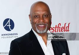 1,261 Picken Stock Photos, High-Res Pictures, and Images