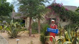 Madagasikara), officially the republic of madagascar (malagasy: Madagascar O Insula Neobisnuita Dar Fascinanta Paralela 45