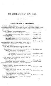 Image result for Pycreus nigricans