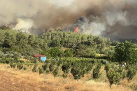 Evrensel.net - News update