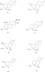 Image result for Psiadia punctulata