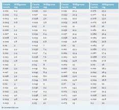 Weight Conversion