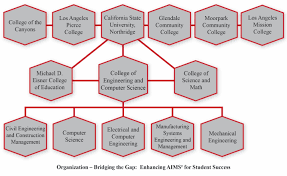 Organization Chart