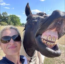 Abit of a long shot but I owned this pony called Hyde back in /2022 /2023  near the start of 2023 ISH, I was given her by Rachel woods. Just want to