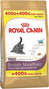 Royal Canin Kitten British Shorthair 400 Gr 2 Li Paket Yavru Kuru Kedi Mamasi Fiyatlari Ozellikleri Ve Yorumlari En Ucuzu Akakce