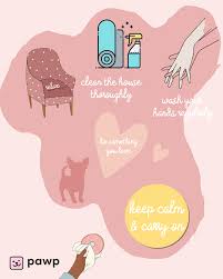 Pawp Clinic Talk To A Vet 24 7 Get 3 000 In An Emergency In 2020 Love Your Pet Pet Parent Pet Safe