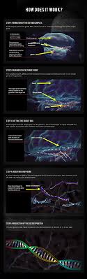 Genetic Engineering Is Amazing To Learn About It And You Can Absorb A Lot Of Its Knowledge With This Very Science Biology Genetic Engineering Molecular Biology