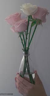 Bunga rose mekar pernikahan bunga bunga cinta tanaman romantis mawar wallpaper mawar. Foto Stok Gratis Tentang Bunga Mawar Merah Jambu Mawar Merah Muda