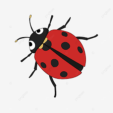 Seeting on a green leaf on a white background. Cute Ladybug Clipart Cartoon Red Cartoon Ladybug Ladybug Cartoon Png Transparent Clipart Image And Psd File For Free Download