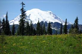 Gallery Item Display