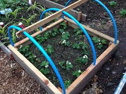 Jonathan S Blog Jonathan S Blog Garden Netting Veg Garden Allotment Gardening