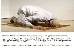 When someone recites a poem or other piece of writing , they say it aloud after they have. Prostration In Reading Sujood Tilawah Learn Quran Tajweed And Arabic