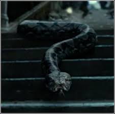 Nagini | Warner Bros. Entertainment Wiki | Fandom