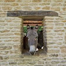 Jardins Du Pays D Auge Normandy France Iii Animals Private Garden Animal Pictures