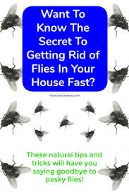 We did not find results for: 6 Ways To Get Rid Of Flies Naturally Get Rid Of Flies Fly Repellant Natural Fly Repellant