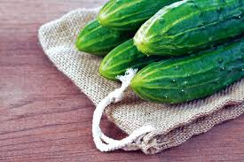 Is zucchini different than cucumber. How To Pickle And Preserve Zucchinis Courgettes And Cucumbers