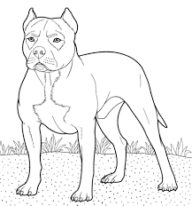 Pin On Embroidery Patterns Designs