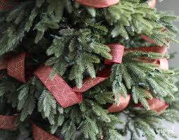 We did not find results for: Tips And Tricks For Beautiful Christmas Tree Ribbon Video