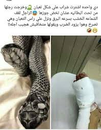 pin by reem ali on بالبلدي بالمصري funny picture jokes funny photo memes some funny jokes