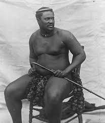 The eight zulu kings also places the zulu kings in the context of other african monarchs and discusses their shared royal traditions and their common challenges. Cetshwayo Zulu King Britannica
