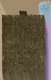 Image result for Metasphaeria diplodiella