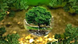 The health of our ecosystems is what keeps us humans alive. Kd19q9kzhreqhm