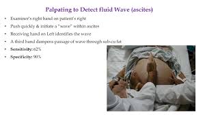 Image result for Fluid Wave Test