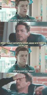 In addition to the movies and shows listed above, there are several announced tv series coming, usually with ties so tight to the mcu movies, they star the same people and may. 2019 Funny Avengers Memes Marvel Movies Avengers Endgame Movies Funny Marvel Memes Avengers Funny Marvel Funny