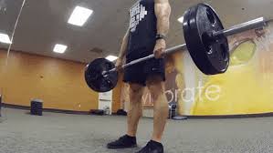 Romanian deadlift and discuss the technique, benefits, common mistakes, and how to perform each of them properly. Best Romanian Deadlift Gifs Gfycat