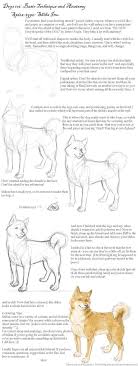 Dogs 101 Shiba Inu By Inu Aku Kitsune On Deviantart Shiba Inu Dog Drawing Dog Sketch