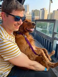 Using dogs at PNC Park events