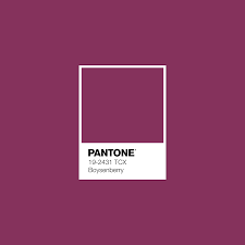 Boysenberry Pantone Luxurydotcom Purple In 2019