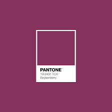 boysenberry pantone luxurydotcom purple in 2019