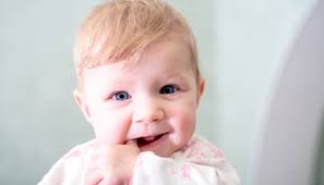 Organizations & Groups